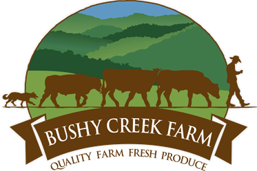 Bushy Creek Farm